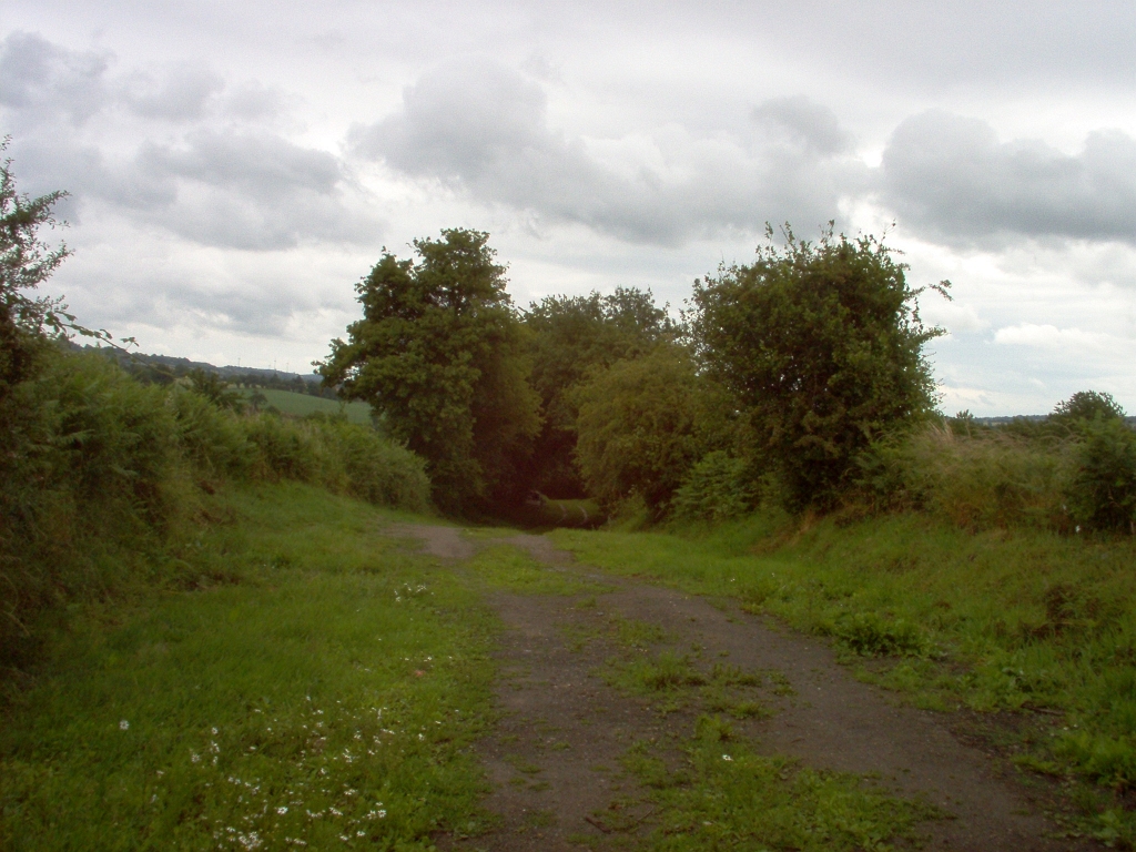 20110000 LA PAVÉE Pont-Farcy 07.jpg - IM000267.JPG